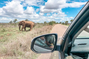 Self Drive in Uganda Trips  - Trip Car Rental Uganda 