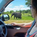 Your Ultimate 1 Journey To Murchison Falls National Park