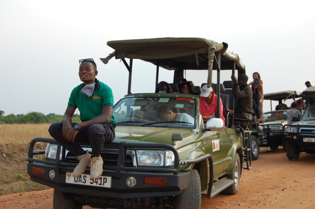 Safari car rental