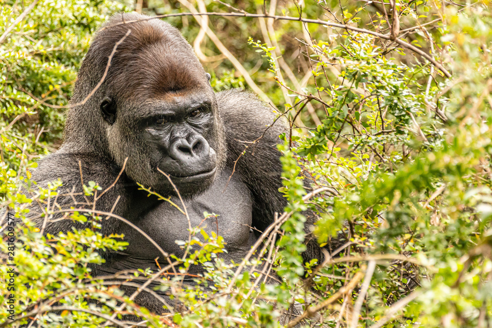 Bwindi National Park