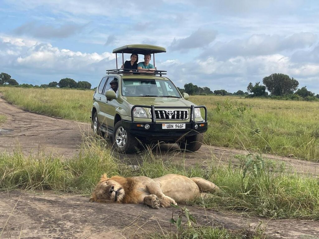 car rental in masindi