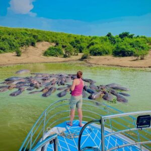 Renting A car in uganda from France