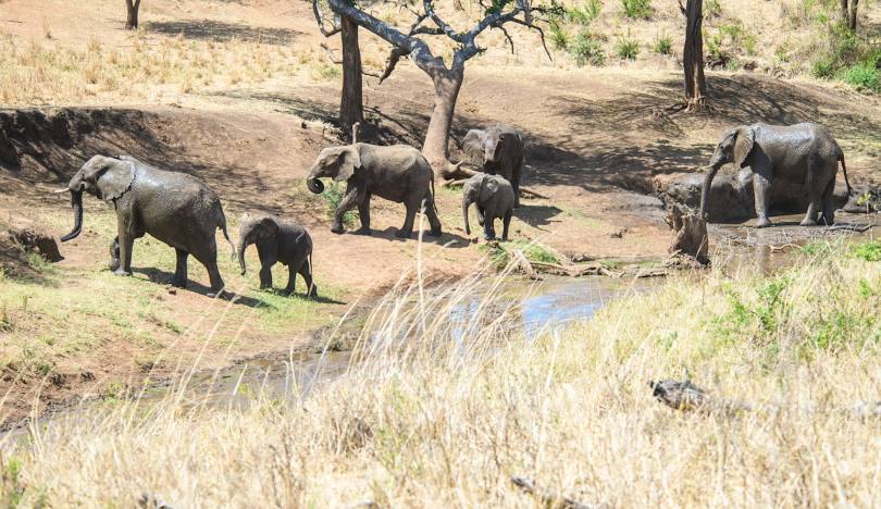 East Africa Tanzania