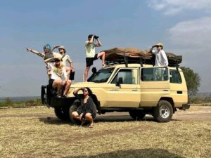 safari land cruiser tx