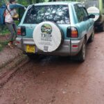 East Africa Self Drive – Explore the Pearl of Africa with Trip Car Rental Uganda