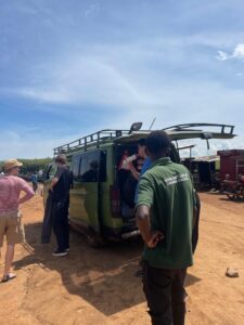 Tree climbing lions in Queen Elizabeth National Park