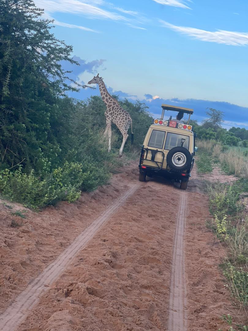 self drive car hire in East Africa