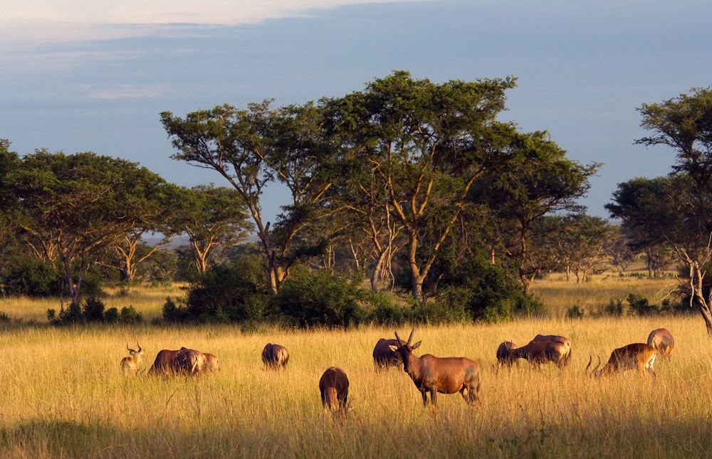 Lake Mburo National Park