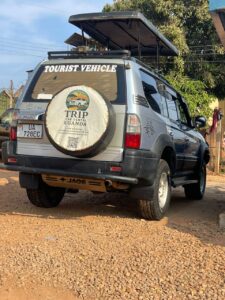 4x4 Safari Land Cruiser TX