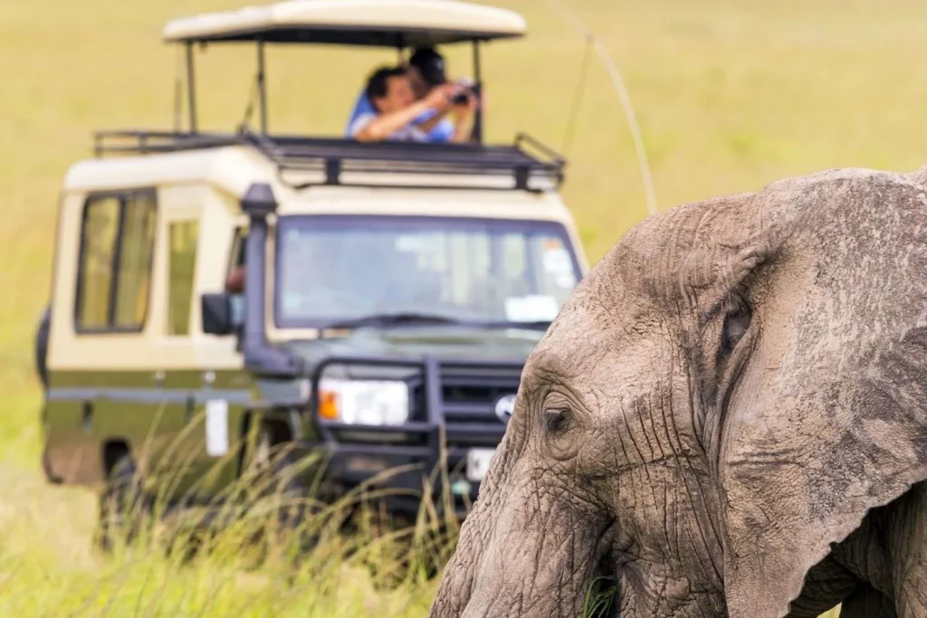 Best 4x4 Car Hire Uganda