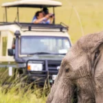 Best 4×4 Car Hire Uganda: Choosing the Right Vehicle for Your Journey