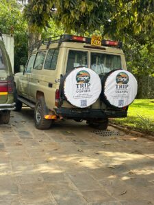 Can I Pick Up a Rental Car at Entebbe Airport?