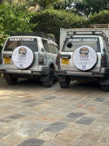 Self-Drive vs Driver-Guided Trips in Uganda