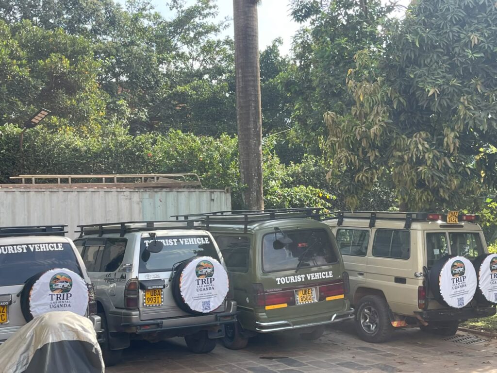 Can I Pick Up a Rental Car at Entebbe Airport?