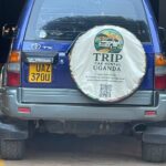 Can I Drive a Rental Car Across National Borders?