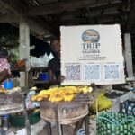 Safari and Rooftop Tent Car Rental Uganda: Your Guide to Camping Safaris