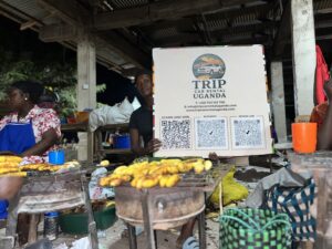 Safari and Rooftop Tent Car Rental Uganda